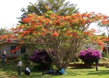 Leisure Time on Campus